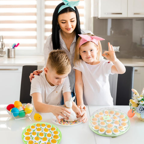 HANSGO tray with snap locks keeps eggs secure during travel.