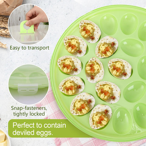Portable HANSGO egg carrier with handle for easy transport