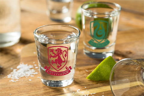 Harry Potter shot glasses with Ravenclaw crest for smart, classy gatherings