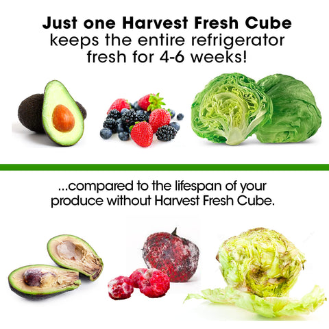 Fridge shelf with Harvest Fresh Cube keeps greens crisper and fresher