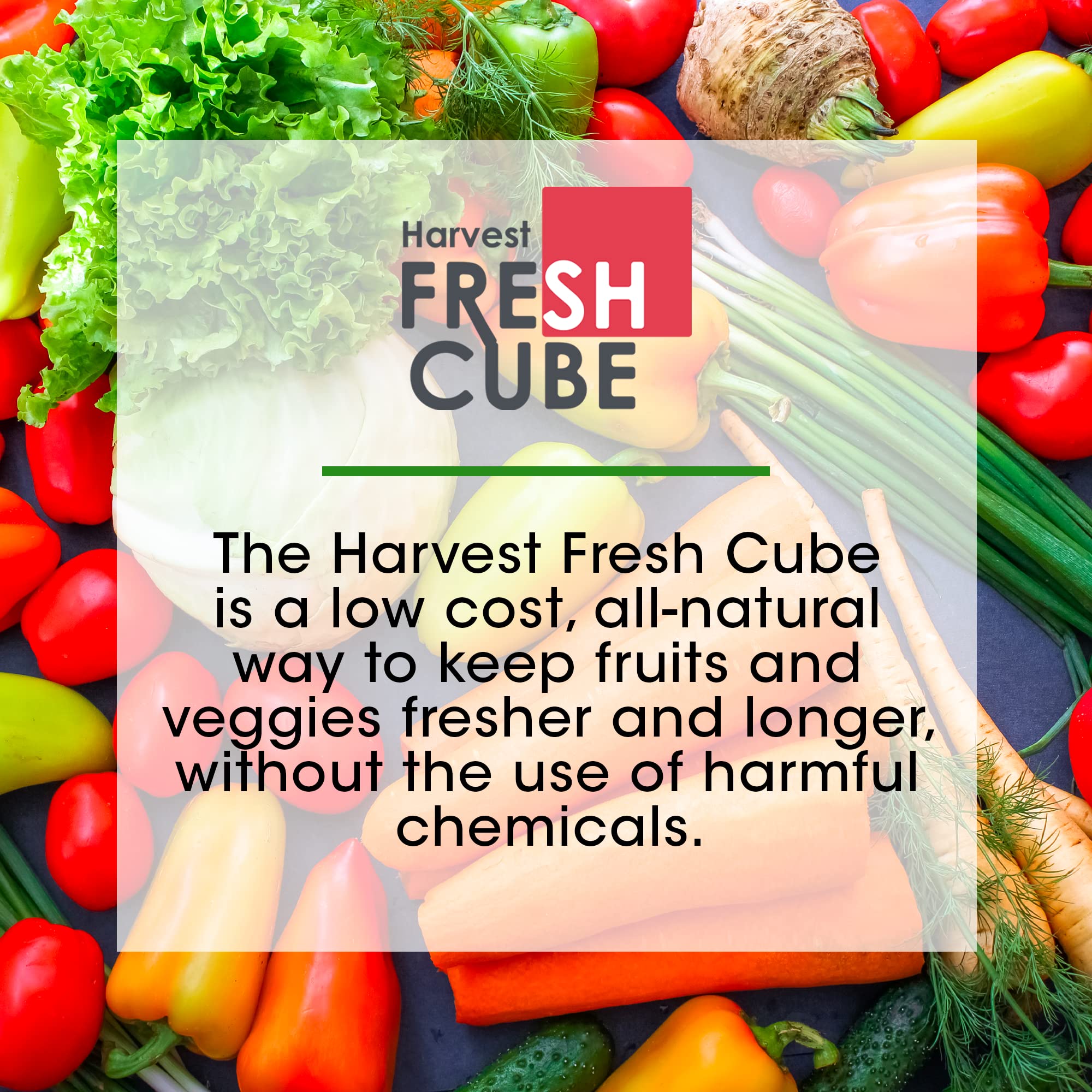 Two-pack Harvest Fresh Cube on a kitchen shelf signaling a six-month supply