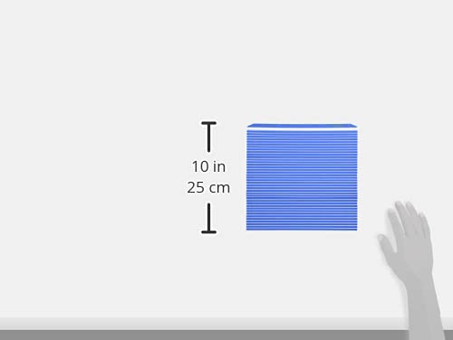 Hasegawa plastic mat keeps rice contained during easy spread.