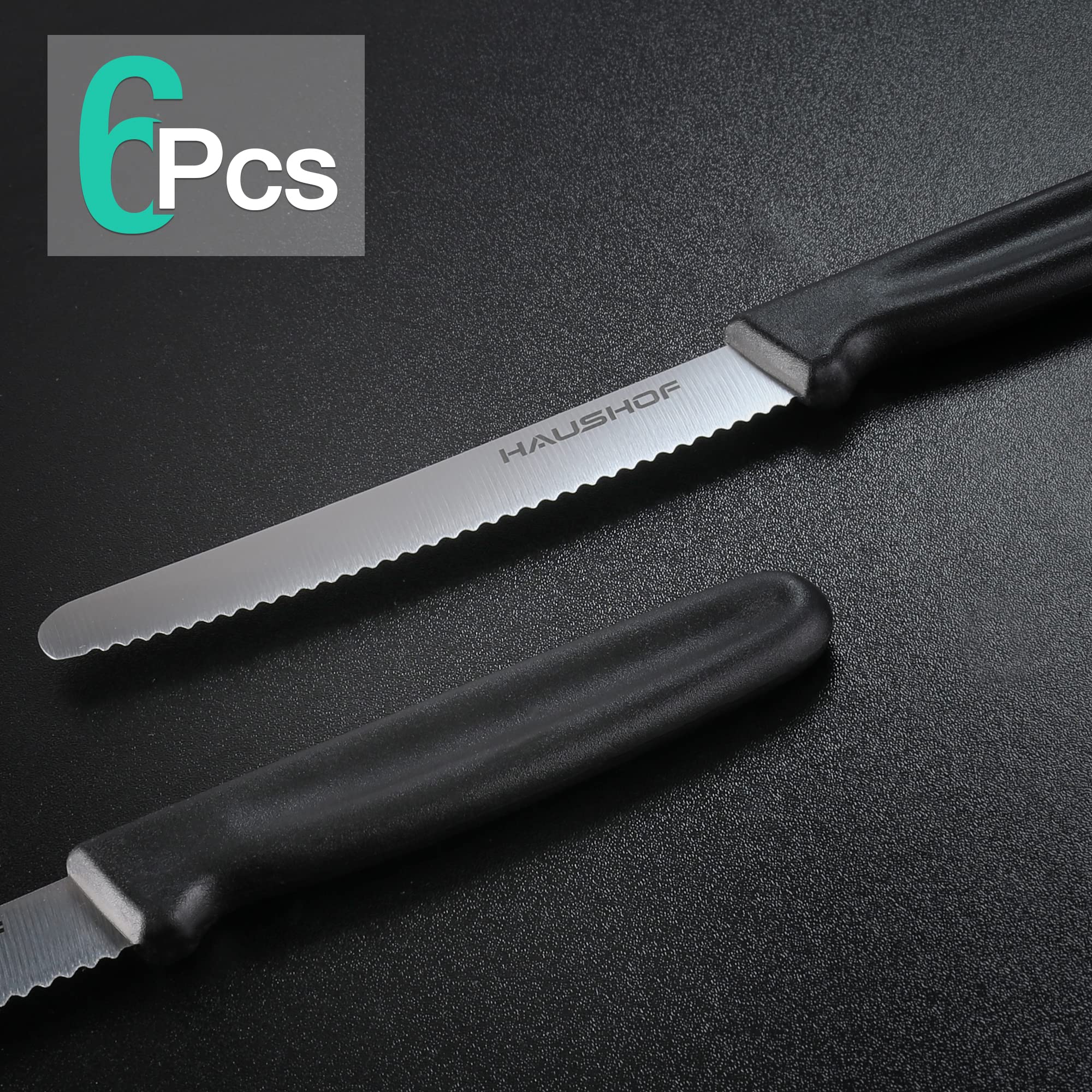 HAUSHOF serrated steak knife with stainless steel blade for effortless slicing.
