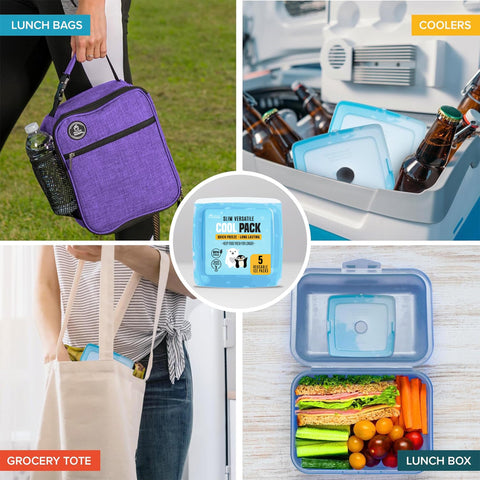 Healthy Packers 5-pack reusable ice packs ready for school lunches and picnics.