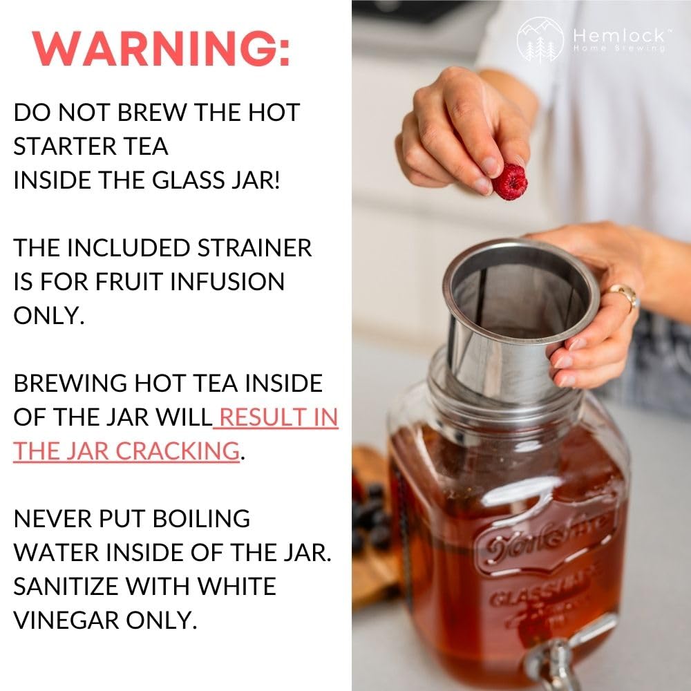 Hemlock stainless steel mesh filter for clean fruit infusions