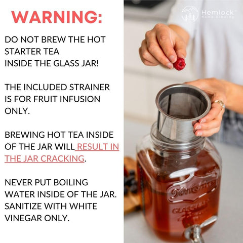 Hemlock stainless steel mesh filter for clean fruit infusions