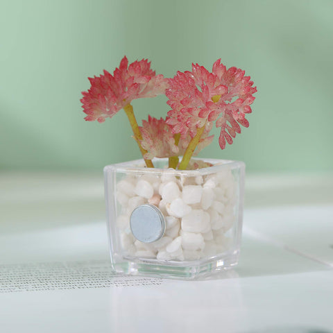 HEY FOLY cactus fridge magnet features durable 3D detail for lockers and office boards.