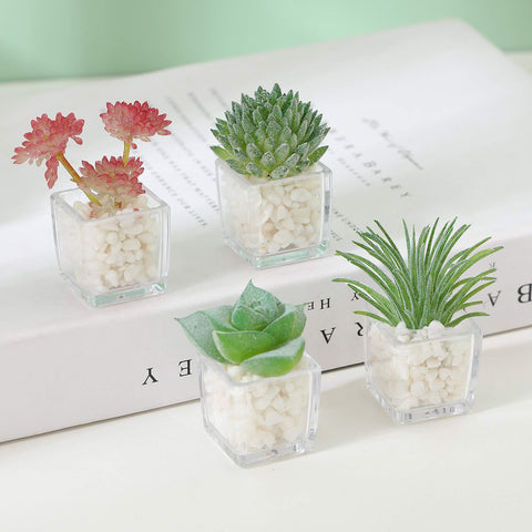 HEY FOLY vibrant plants magnet set keeps notes visible on whiteboards and calendars.