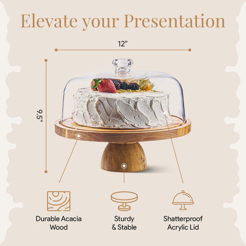 HOMESPHERE acrylic dome closeup shows shatterproof lid protecting treats