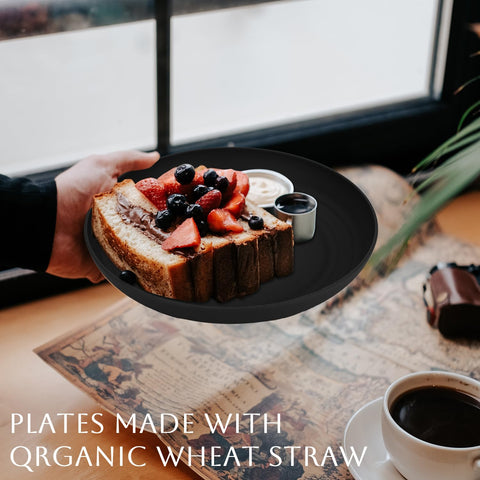 Homienly dishwasher-safe wheat straw plate, easy cleaning after meals