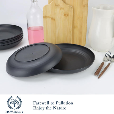 Homienly lightweight unbreakable plate, sturdy yet easy to carry