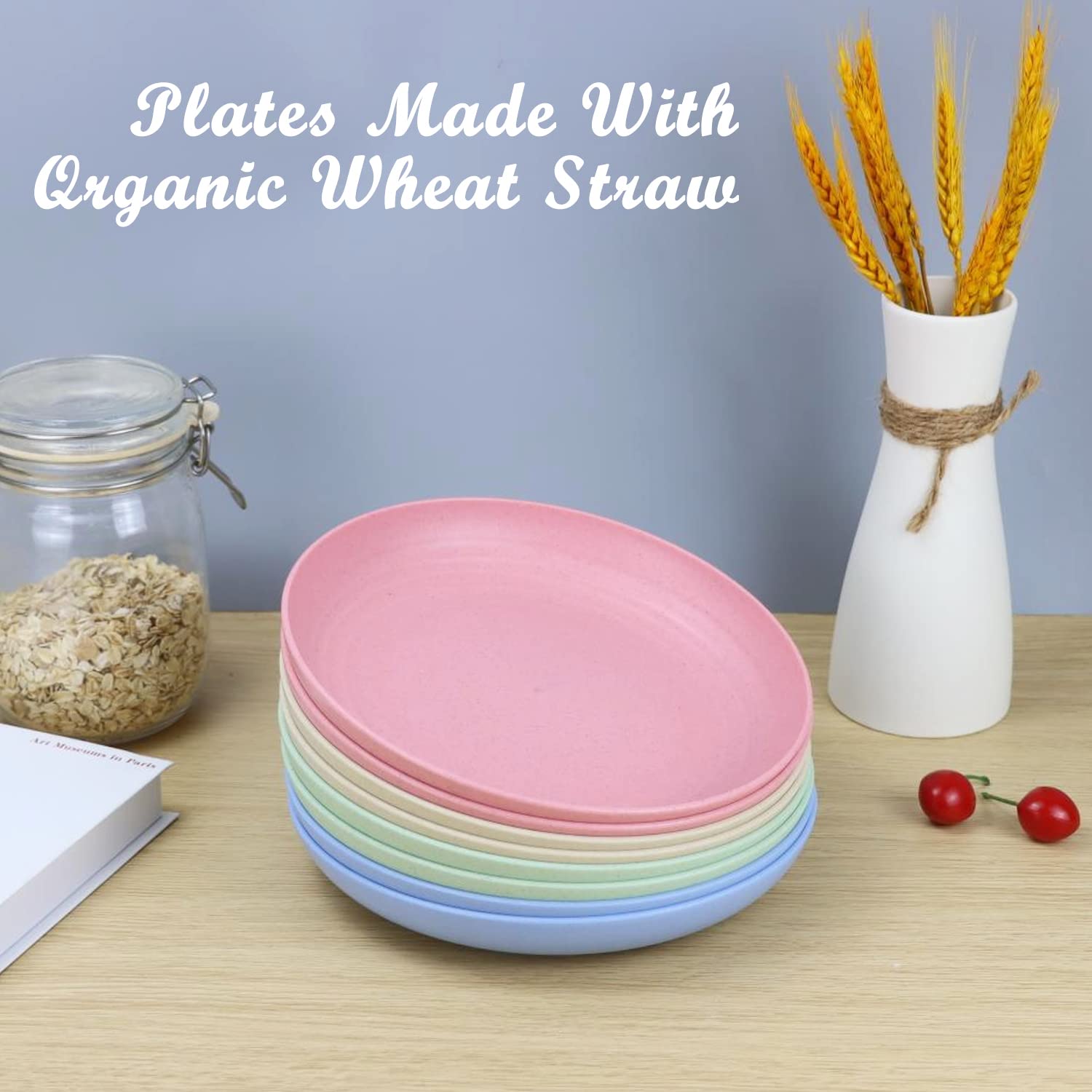 Homienly party-ready plates for gatherings and outdoor dining