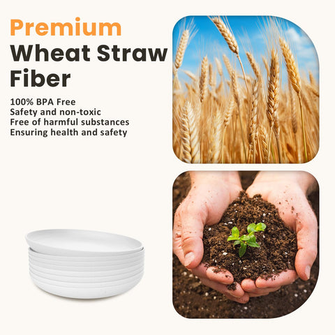 Homienly wheat straw plate on table with sunlight, lightweight and easy to carry for camping.