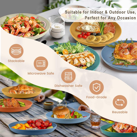Homienly kid-friendly dinner plates are great for school lunches and casual dining