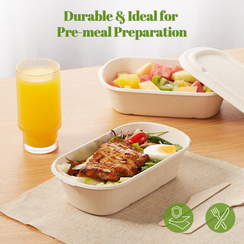 HorizonNest biodegradable takeout box shows compostable packaging for eco-friendly events.