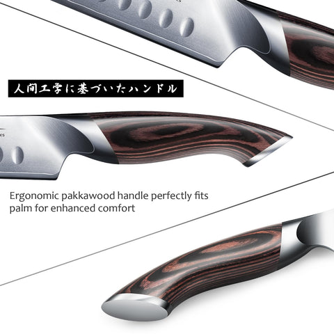 HOSHANHO carving knife ideal for slicing large meat cuts