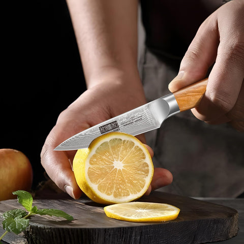HOSHANHO knife set in use, slicing vegetables and meat with ease