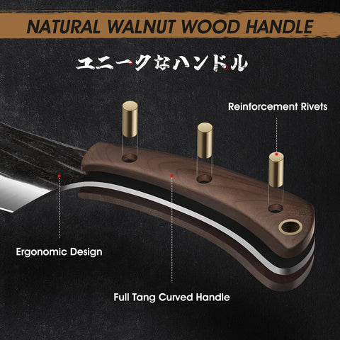 HOSHANHO high-carbon steel blade for sharpness and durability at 58HRC.