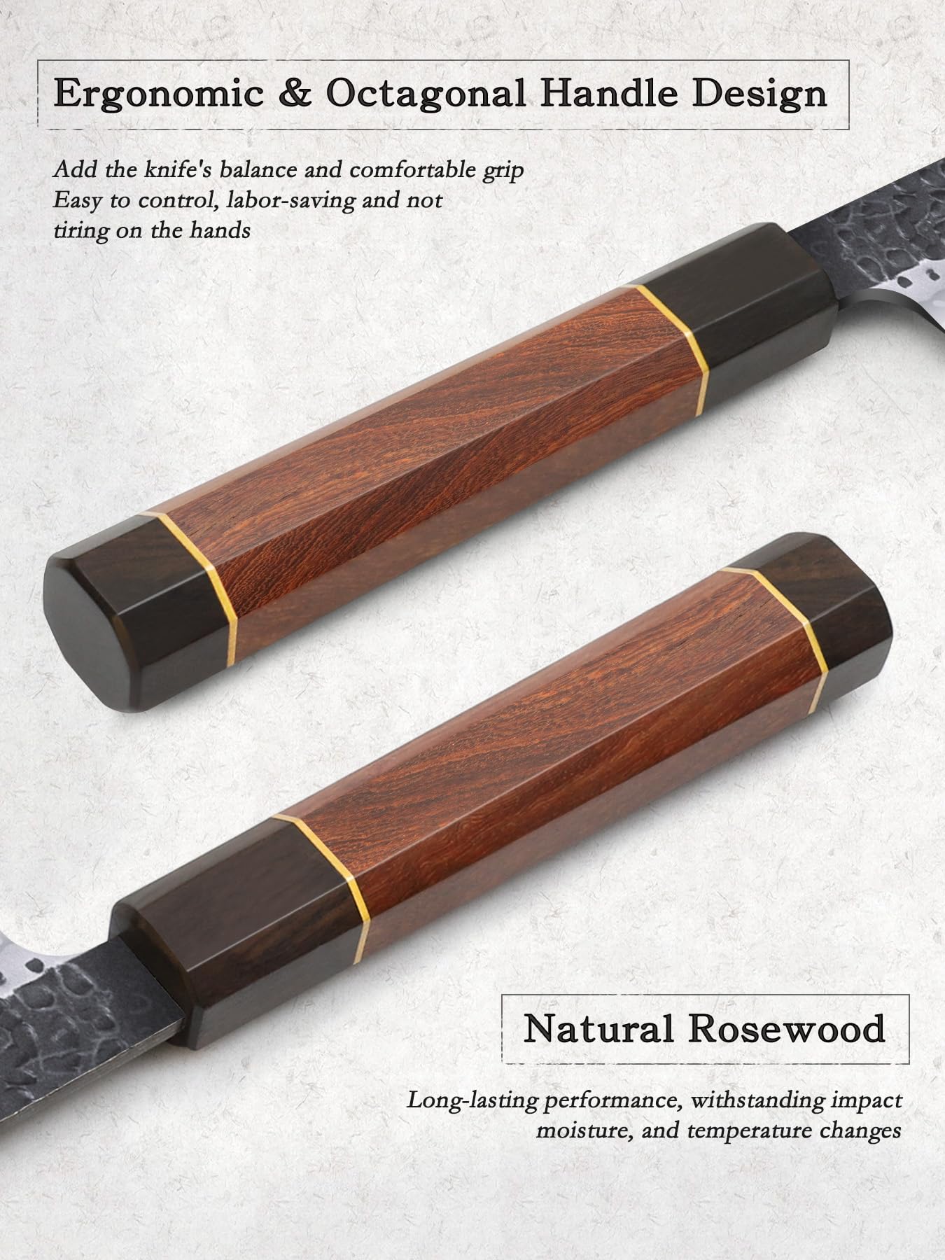 HOSHANHO 10-inch edge shows hand-honed sharpness and durable retention.