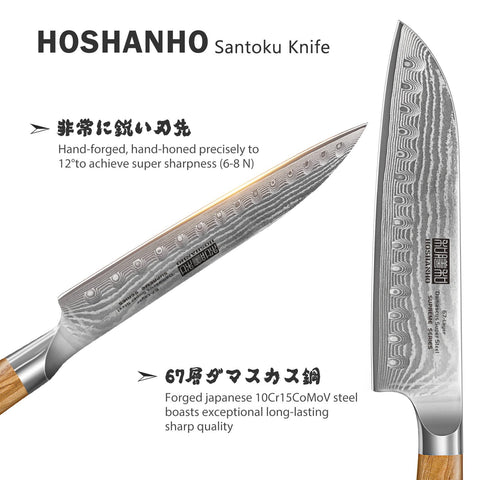 HOSHANHO VG-10 steel core blade signals exceptional durability