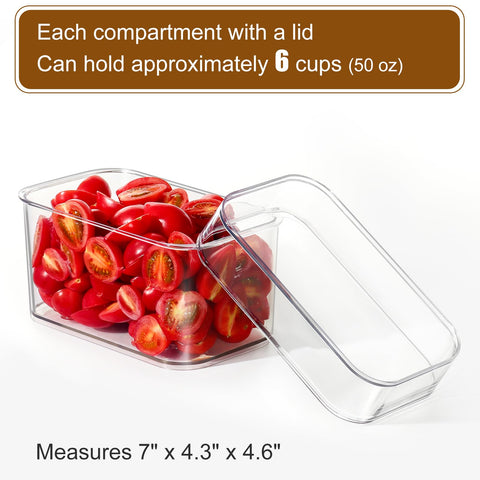 Hudgan salad and fruit dressings neatly arranged in containers
