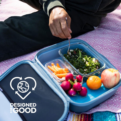 Hydro Flask Carry Out Lunch Box interior clean and organized.