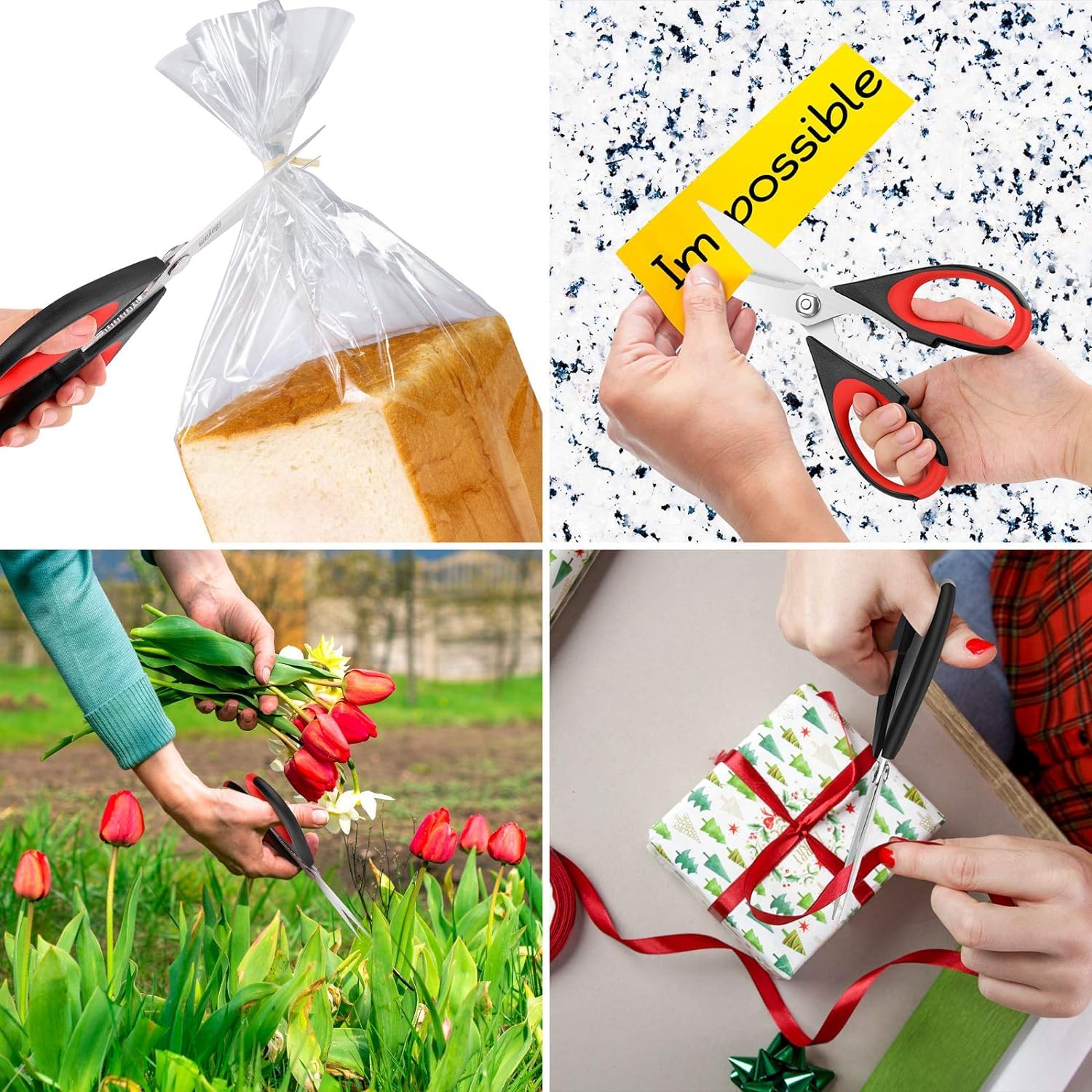 iBayam ideal for campers and outdoor meals on the go