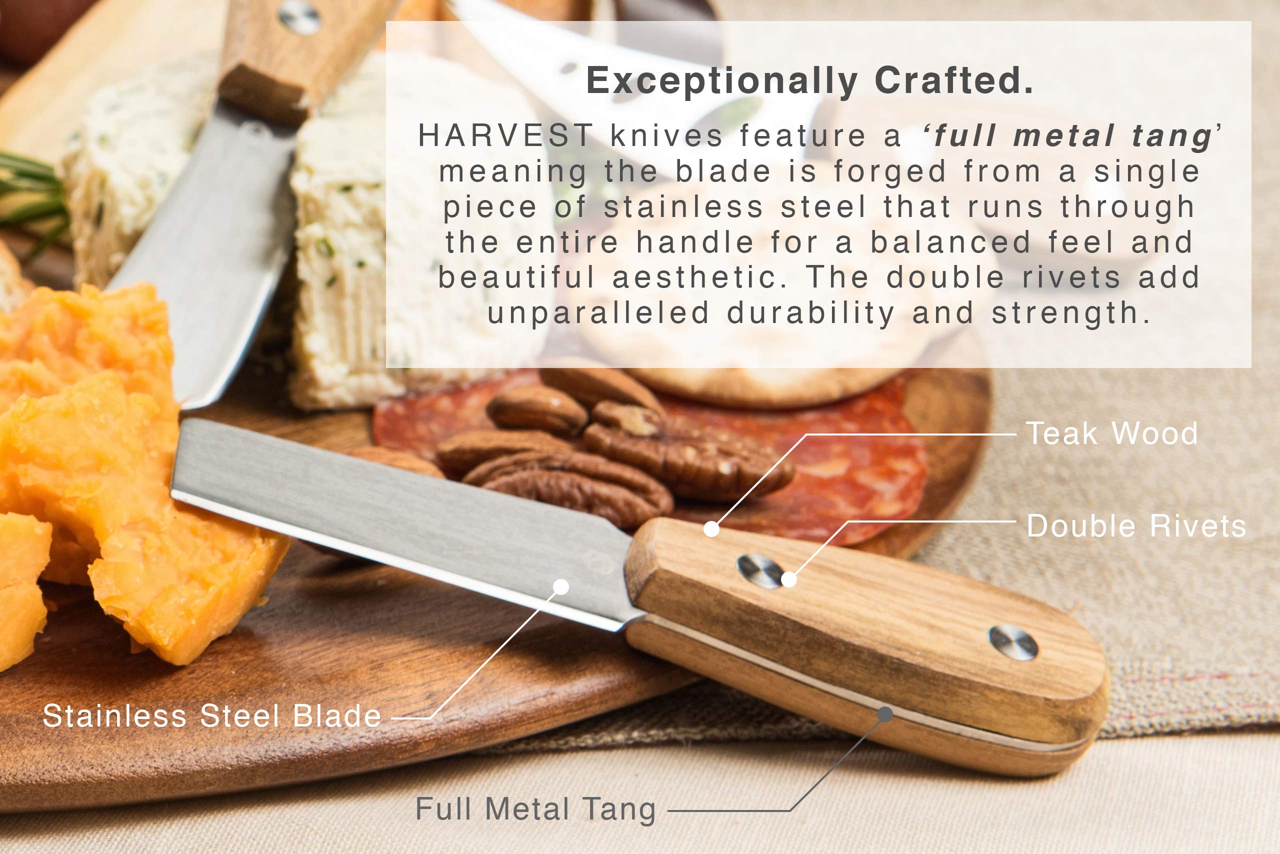 ICOSA Living Harvest premium stainless steel knives endure daily use.