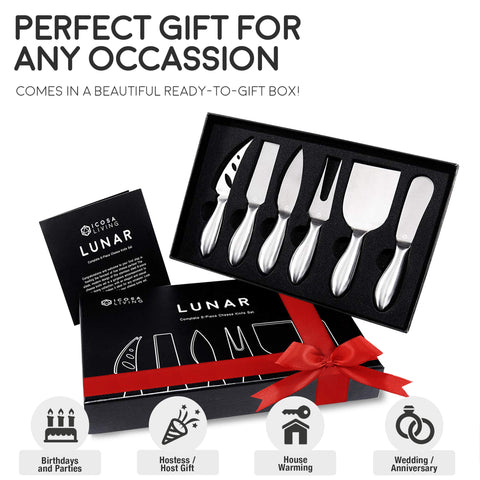 ICOSA Living Lunar cheese knife set spreader demonstrates smooth soft-cheese spreading.