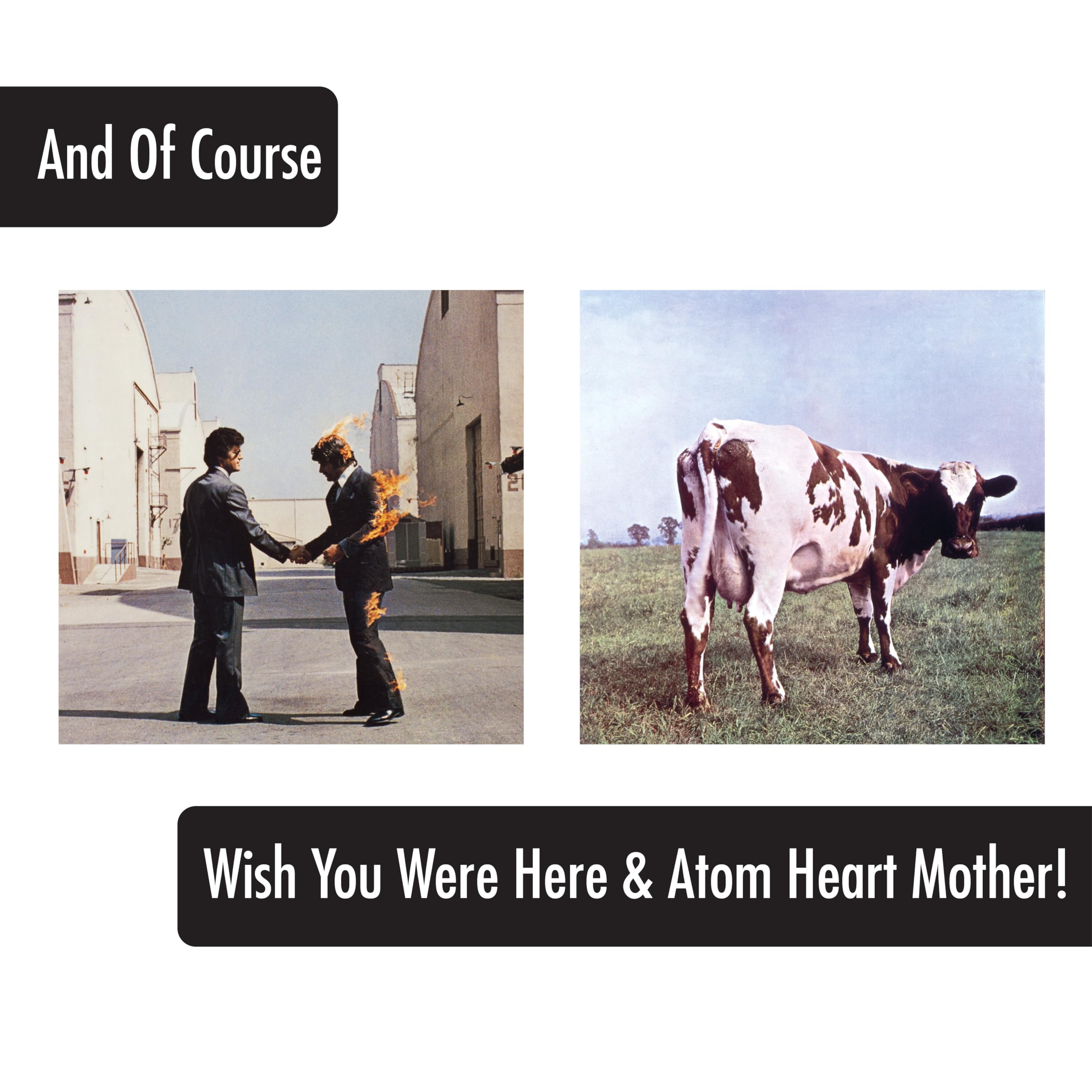 ICUP Pink Floyd The Wall pint glass; iconic artwork to spark conversations during gatherings.