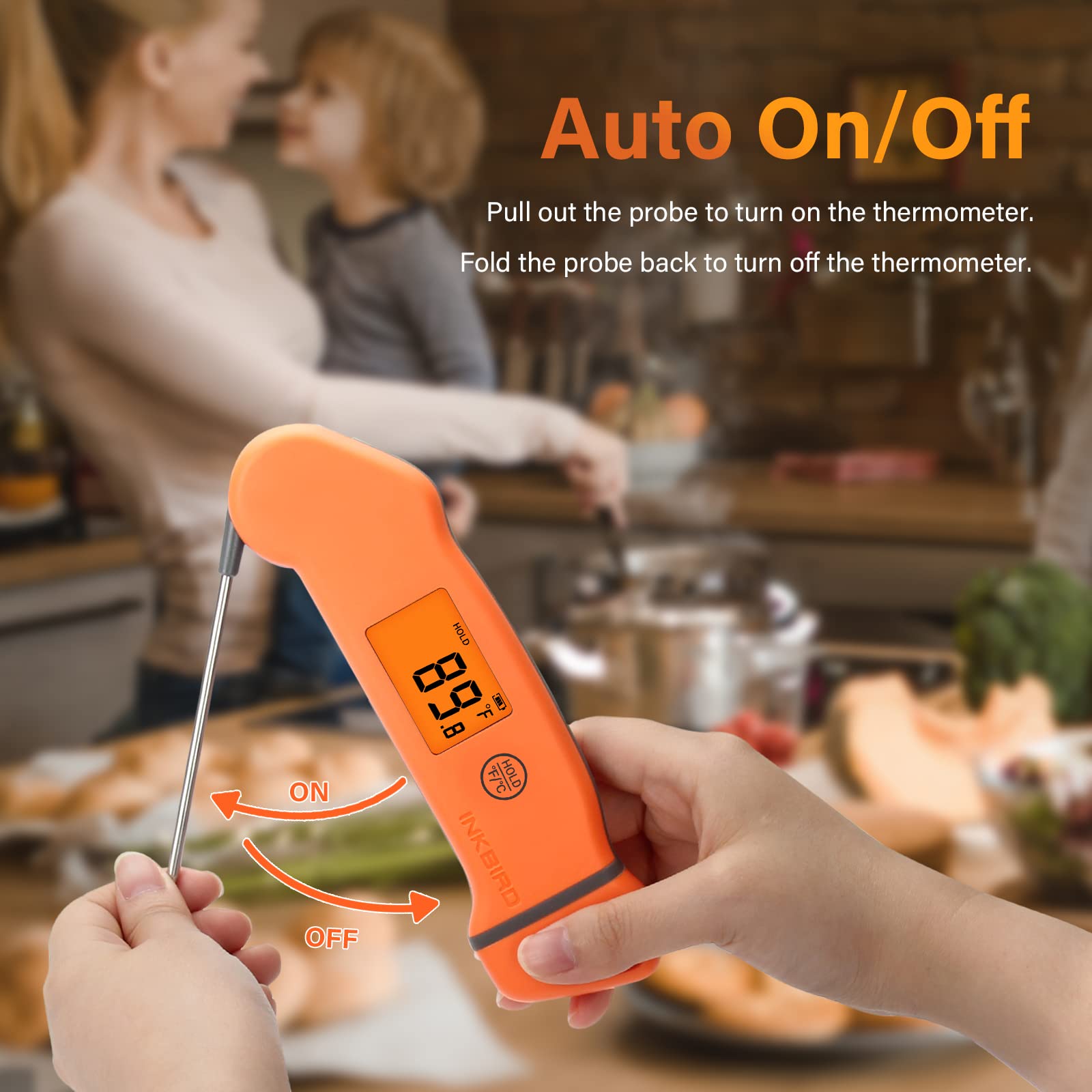 Inkbird IHT-1S turkey roasting helper with accurate temperatures