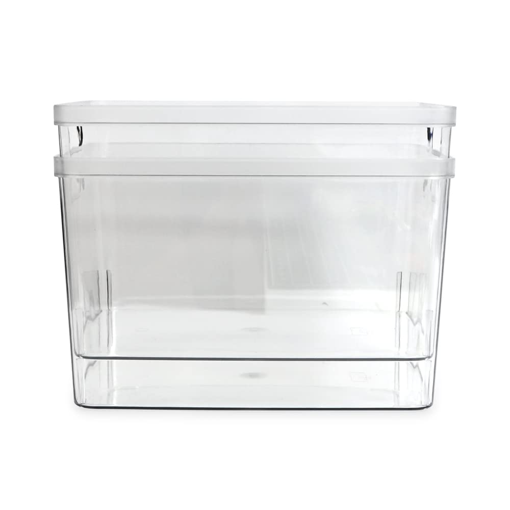Isaac Jacobs clear bin for pantry storage highlights space-saving and simple access.