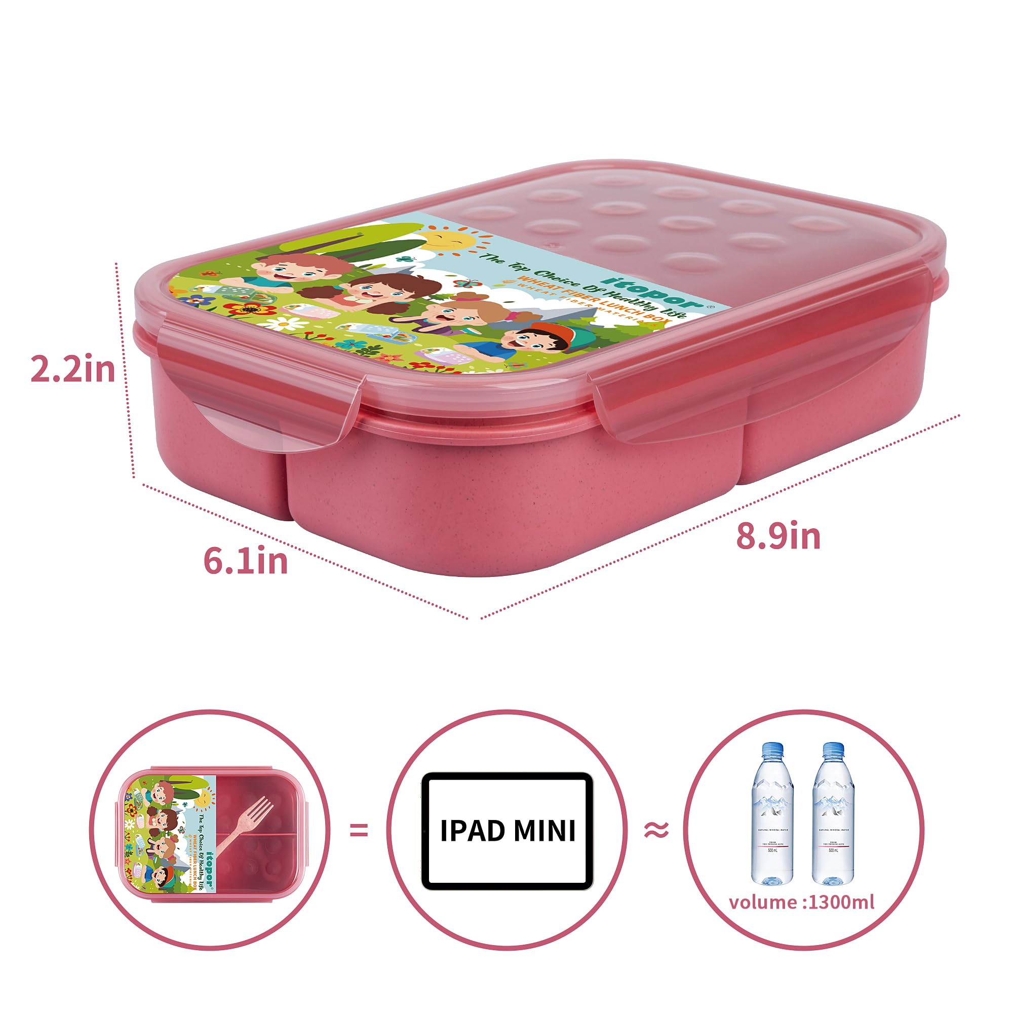 Itopor microwave-safe bento box prepared for quick reheats without the lid.