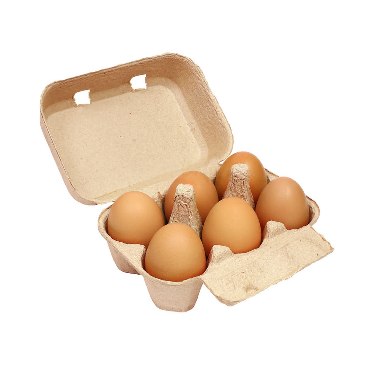 JAPCHET reusable egg cartons ideal for travel and sale events.