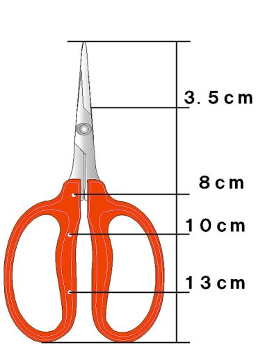 Jinzheng Chikamasa B-500SL easy-grip design for women reduces fatigue