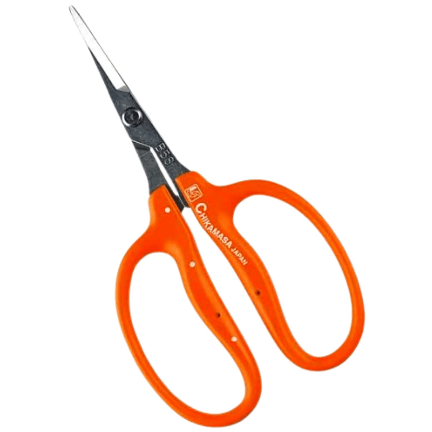 Jinzheng Chikamasa B-500SL stainless-steel blade for precise grape pruning