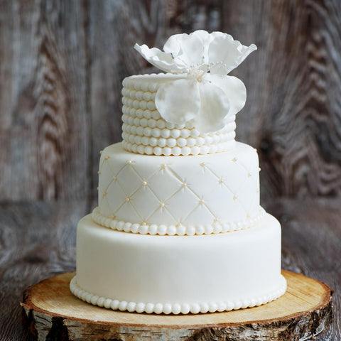 JOBVERT versatile dummy cake set suitable for decoration, display, and planning sessions.