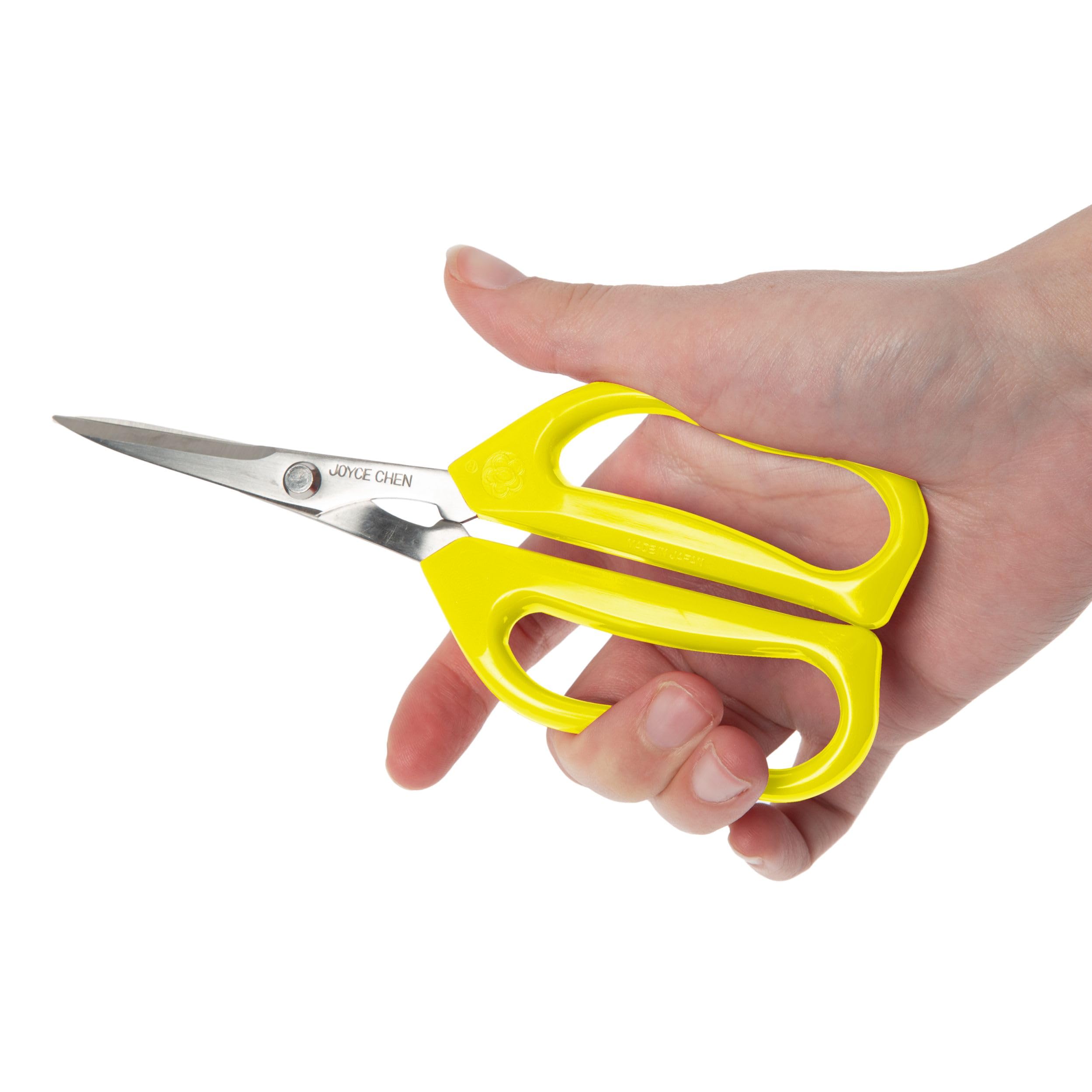 Joyce Chen Unlimited scissors storage and care guidance.
