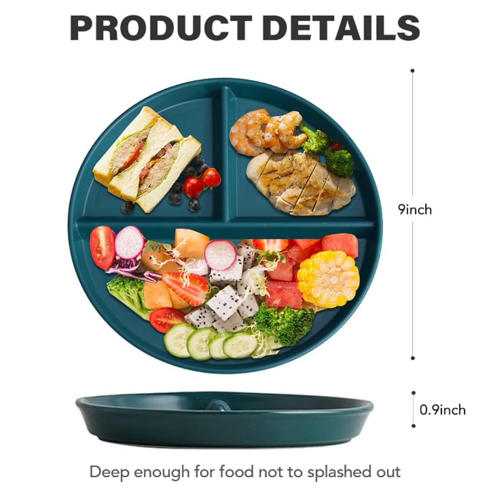 K Y KANGYUN microwave and dishwasher safe plate in kitchen