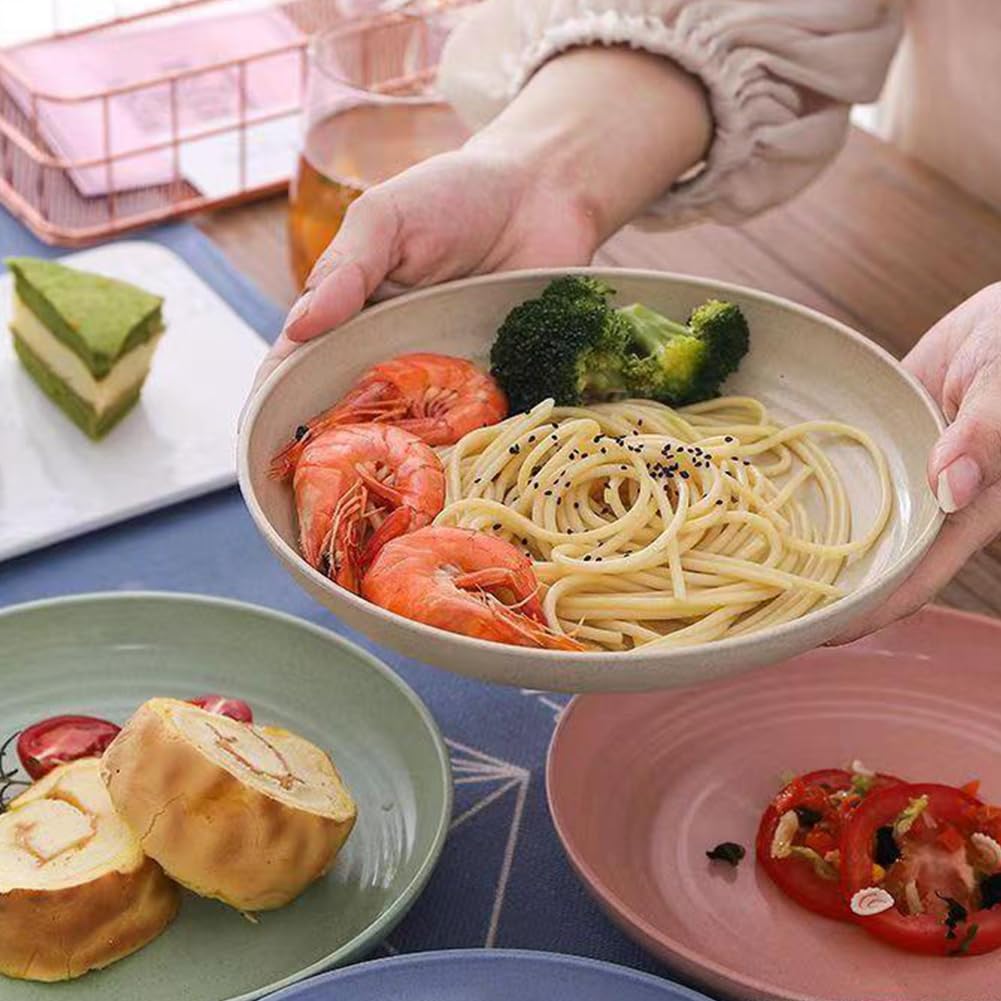 K Y KANGYUN 9in blue plate, lightweight and kid-friendly for easy handling.