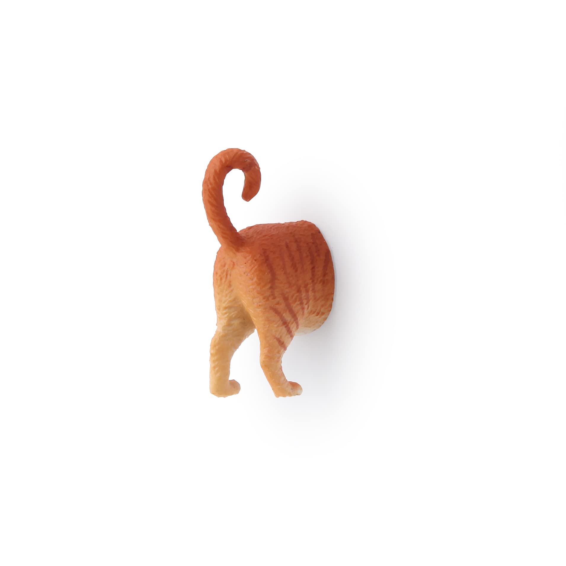 Kikkerland cat butt magnet arrangement 01, versatile for home or office.