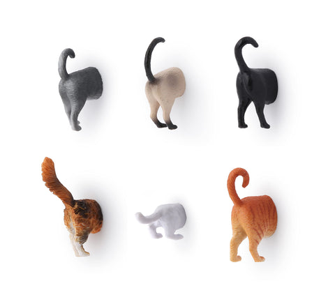 Kikkerland cat butt magnet detail 02, playful design sparks conversations on metal surfaces.