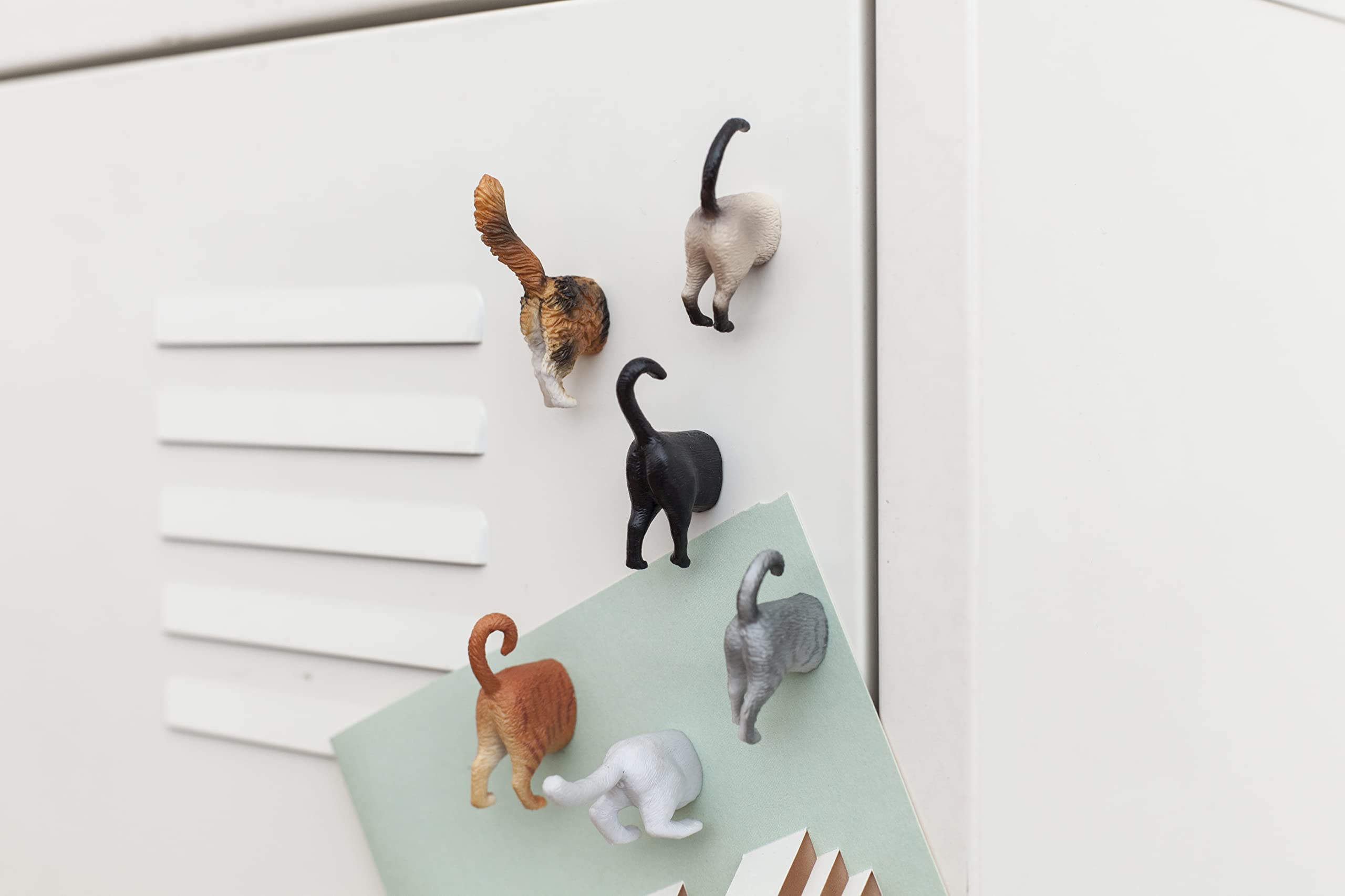 Kikkerland cat butt magnet on fridge 01, holds reminders with whimsical charm.