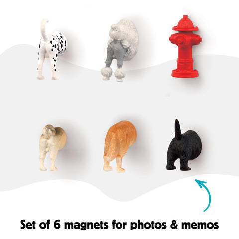 Kikkerland dog butt magnets in classroom display of schedules
