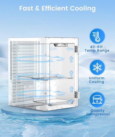 Kismile digital temperature control maintains precise 40-61°F cooling.