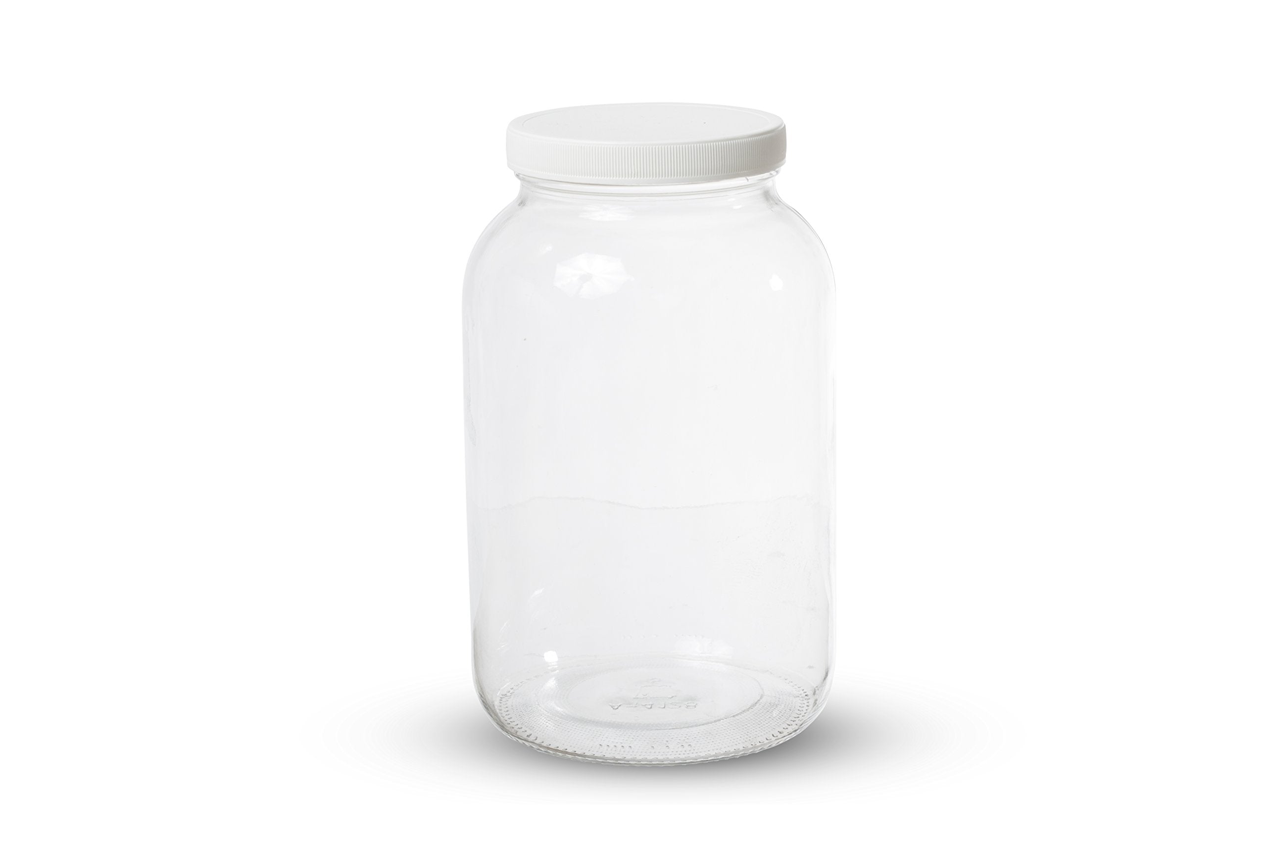 kitchentoolz dishwasher-safe jar simplifies cleaning after use.