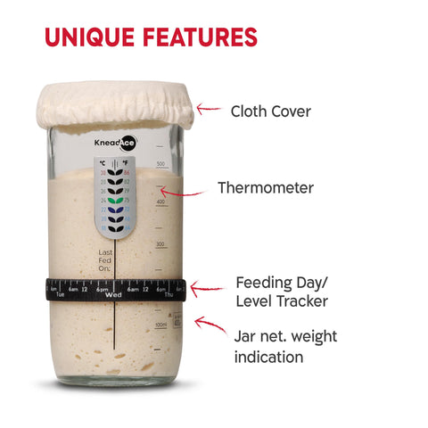 KneadAce feeding day tracker helps maintain starter health.
