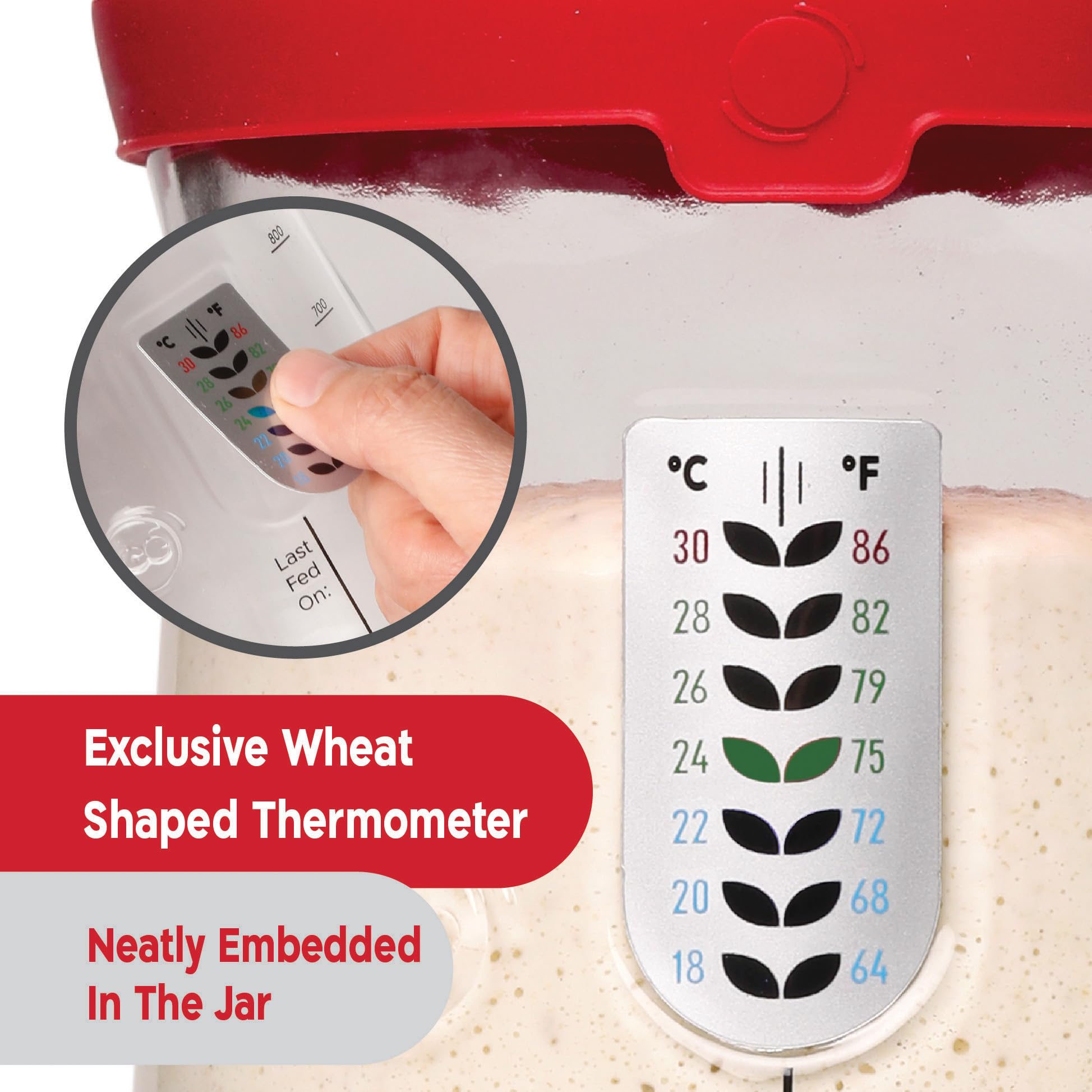 KNEADACE Pro cloth cover protects starter during active fermentation.