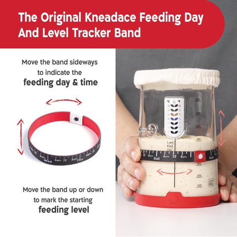 KNEADACE Pro jar interior shows thermometer for precise temp control.