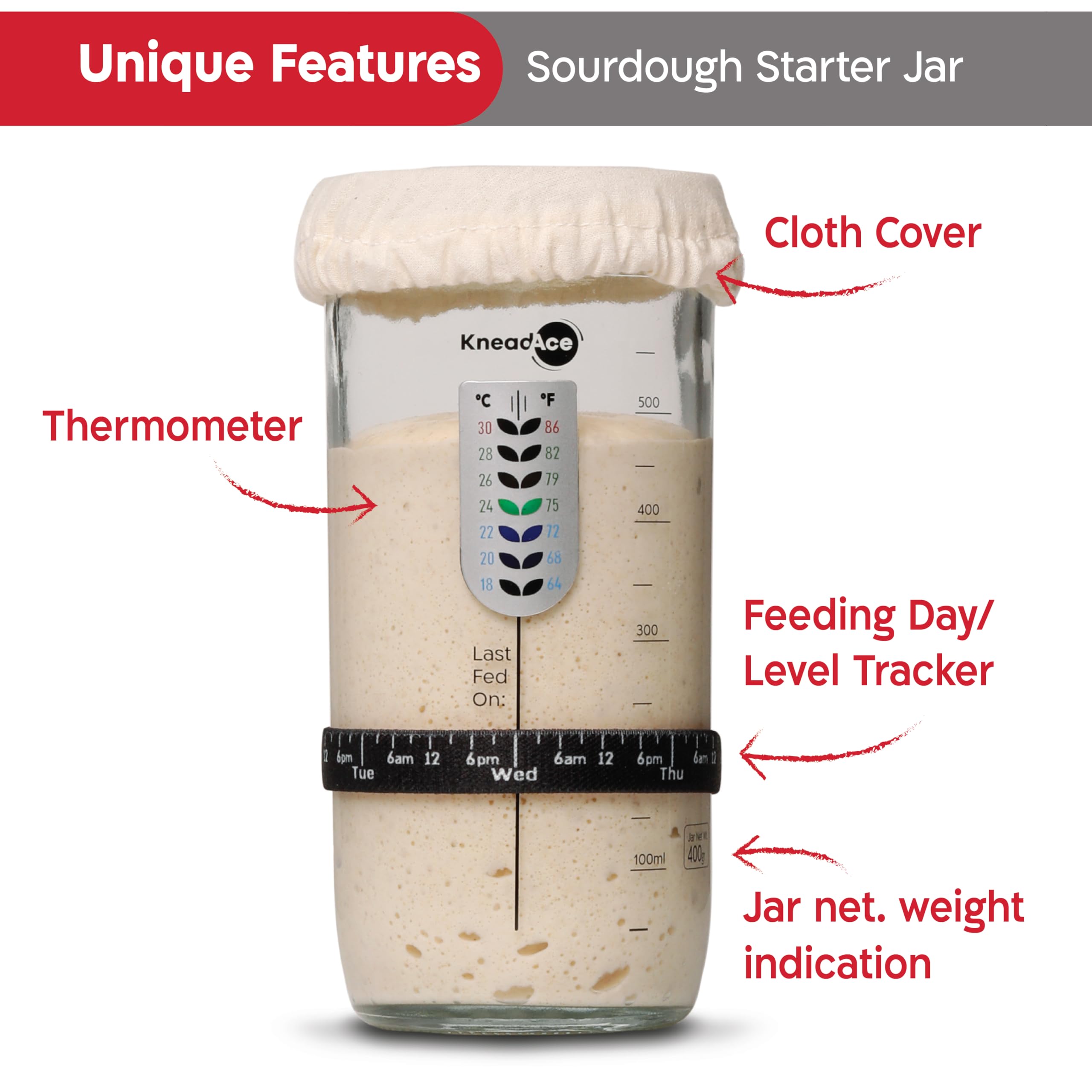 KNEADACE built-in thermometer helps monitor starter temperature